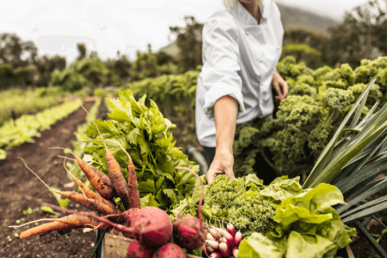 A chef in a white jacket reaches for fresh greens in a lush vegetable garden, with a crate of harvested carrots, beets, and herbs in the foreground.